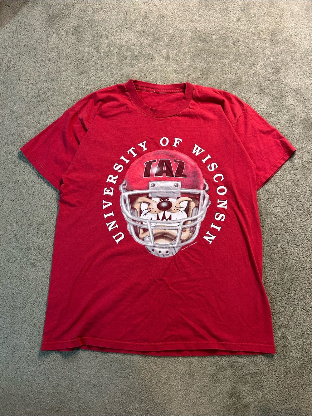 Vintage Looney Tunes Taz Devil University Wisconsin T Shirt XL  90s 2000